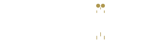 Top Tier Institute